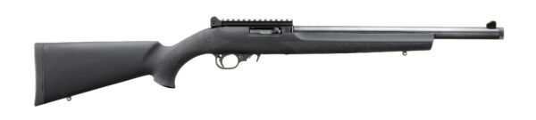 RUGER 10/22 CARBINE 22LR BL/HOGUE