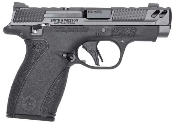 S&W BODYGRD 2.0 PC 14417 380 3.1 10/12R GRY/BLK TS
