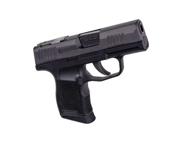 365 sas angled front view
