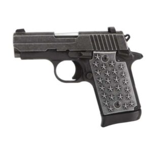 P938 WE THE PEOPLE