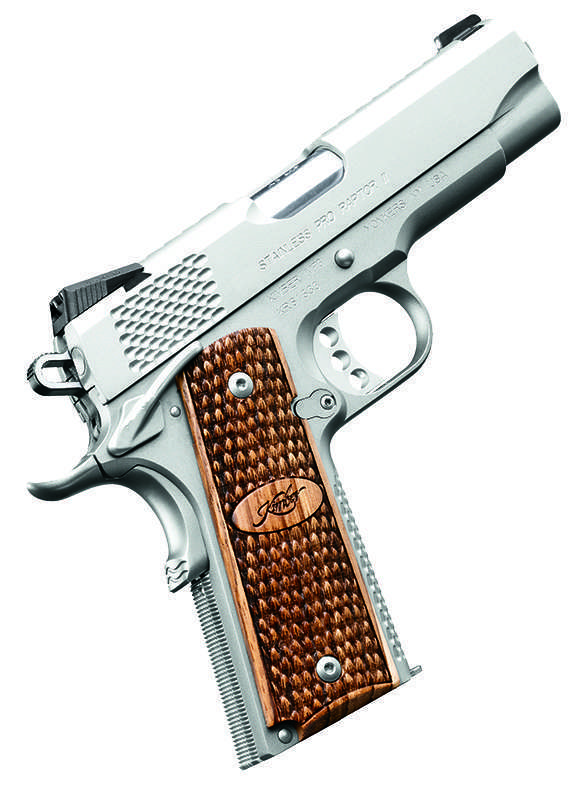 PRO RAPTOR STS GUN