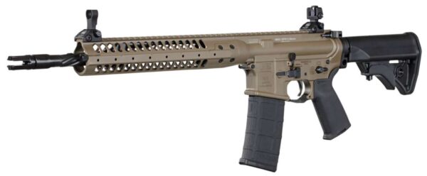 icspr fde left