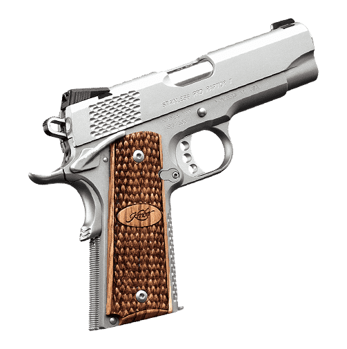KIMBER STAINLESS PRO RAPTOR 2 RIGHT SIDE VIEW MUZZLE ANGLED UP