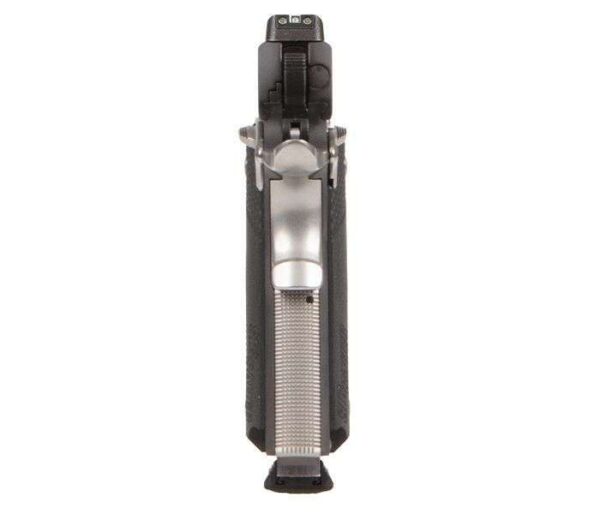 sig cw 1911 equinox rear view